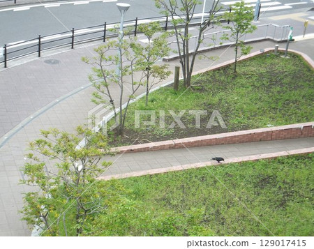 單車道右彎道、人行道和綠地 單車道右彎道、人行道和綠地 129017415
