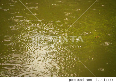 雨季的雨水在水面上泛起漣漪04 雨季的雨水在水面上泛起漣漪04 129017453