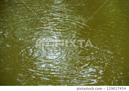 雨季的雨水在水面上泛起漣漪05 雨季的雨水在水面上泛起漣漪05 129017454