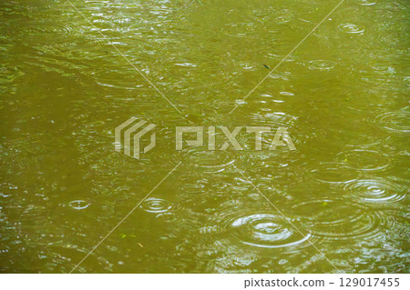 Rain in the rainy season creates ripples on the water surface 06 Rain in the rainy season creates ripples on the water surface 06 129017455