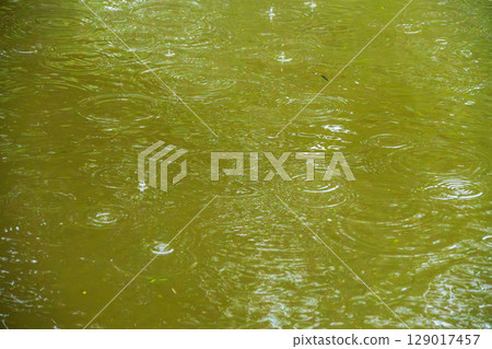Rain in the rainy season creates ripples on the water surface08 Rain in the rainy season creates ripples on the water surface08 129017457
