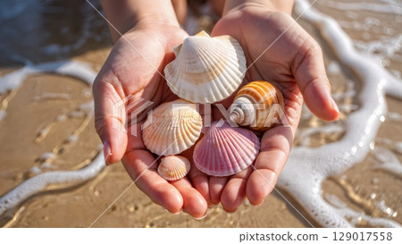 Kids Shell Collecting, Childhood Discovery, Beach Exploration, Simple Joys. Ideal for family activities, educational content, nature play 129017558
