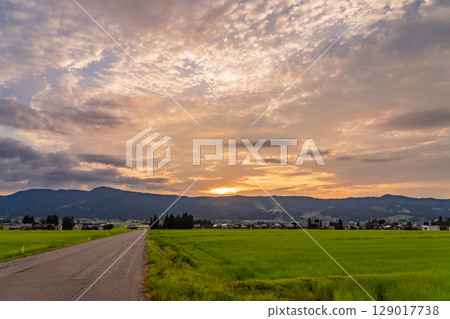 《新潟縣》夏日黃昏田園風光－魚沼樂園 129017738