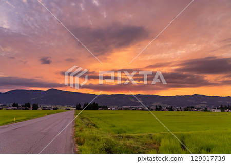 《新潟縣》夏日黃昏田園風光－魚沼樂園 129017739
