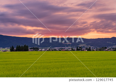 《新潟縣》夏日黃昏田園風光-魚沼樂園 《新潟縣》夏日黃昏田園風光-魚沼樂園 129017745