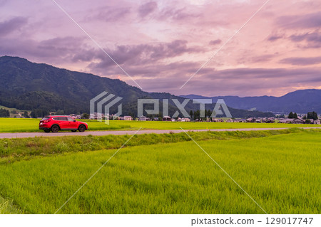 <<Niigata Prefecture>> Summer rural landscape at dusk - Uonuma land 129017747