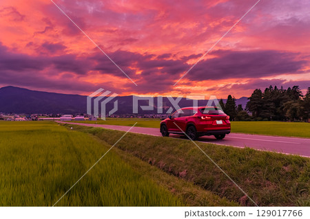<<Niigata Prefecture>> Summer rural landscape at dusk - Uonuma land 129017766
