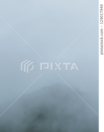 雨季：晨霧籠罩的山樹 03 129017940