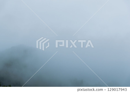 雨季:晨霧籠罩的山樹 06 雨季:晨霧籠罩的山樹 06 129017943