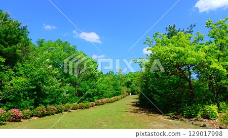 Kasahara Shiomi Forest (Tajimi City, Gifu Prefecture) Kasahara Shiomi Forest (Tajimi City, Gifu Prefecture) 129017998
