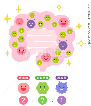 腸道環境：有益菌、有害菌、機會性細菌、健康腸道 129018275