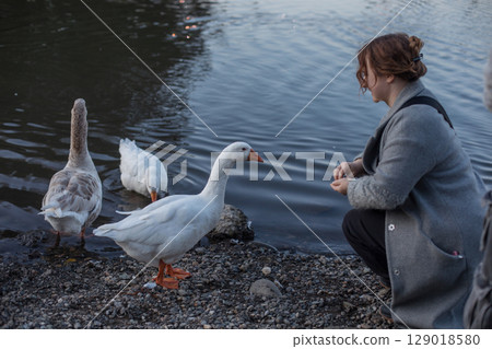 Pretty woman with goose in park Pretty woman with goose in park 129018580