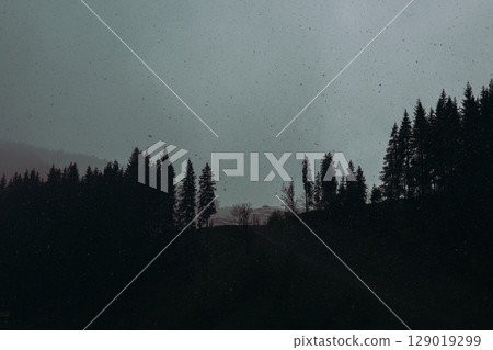 A tranquil scene of a forested mountainside under a clouded sky. The silhouettes of the trees create a serene atmosphere, perfect for natural setting A tranquil scene of a forested mountainside under a clouded sky. The silhouettes of the trees create a serene atmosphere, perfect for natural setting 129019299