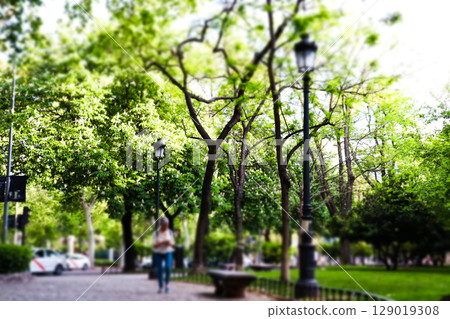 A tranquil urban park scene showcasing rows of trees and antique street lamps creating peaceful atmosphere. Serenity and natural beauty Urban parkland A tranquil urban park scene showcasing rows of trees and antique street lamps creating peaceful atmosphere. Serenity and natural beauty Urban parkland 129019308