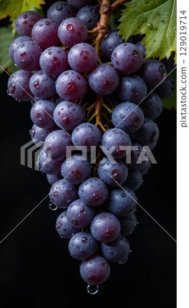Deep Purple Grapes with Dew Drops on Black Background 129019714