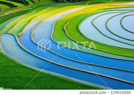 Breathtaking aerial view of terraced rice fields showcasing vivid golden and emerald green layers amidst a stunning mountainous landscape 129019880