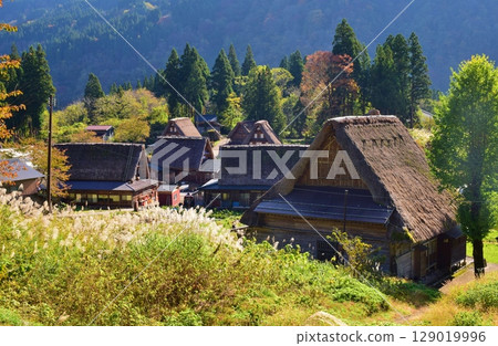 Autumn scenery of the Gokayama Gassho-style Village, a World Heritage Site Autumn scenery of the Gokayama Gassho-style Village, a World Heritage Site 129019996