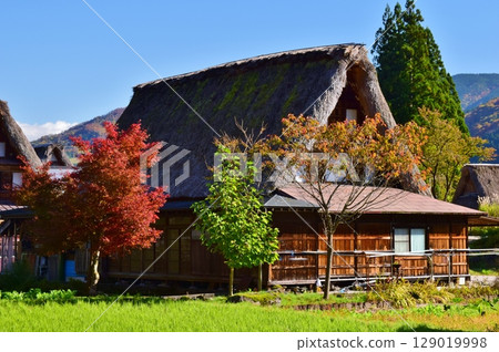 Autumn scenery of the Gokayama Gassho-style Village, a World Heritage Site Autumn scenery of the Gokayama Gassho-style Village, a World Heritage Site 129019998