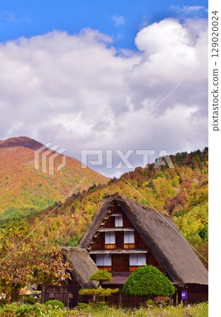 World Heritage Site Shirakawa-go Gassho-style Village Autumn Scenery World Heritage Site Shirakawa-go Gassho-style Village Autumn Scenery 129020024