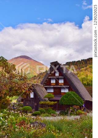World Heritage Site Shirakawa-go Gassho-style Village Autumn Scenery World Heritage Site Shirakawa-go Gassho-style Village Autumn Scenery 129020025