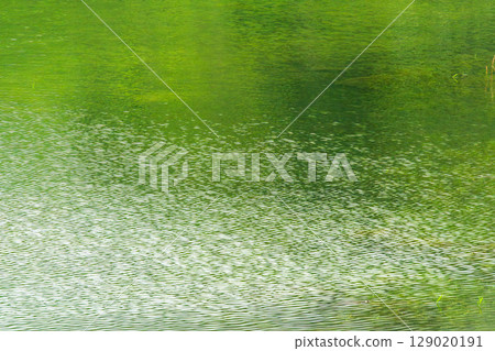 The green of the forest is reflected in the lake water 01 The green of the forest is reflected in the lake water 01 129020191