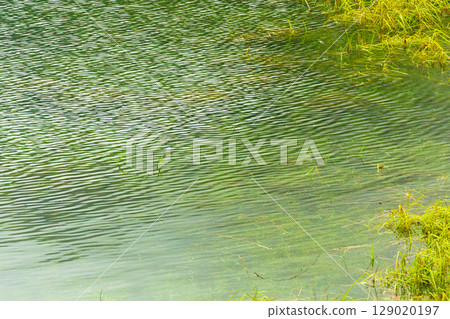 The green of the forest is reflected in the lake water 07 129020197