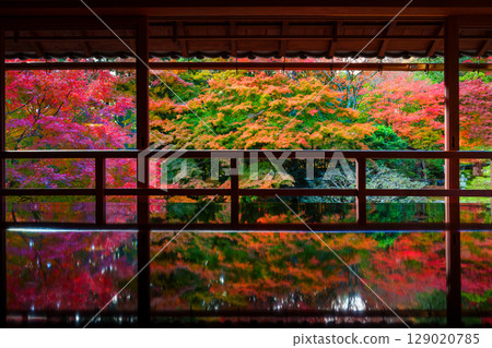 Autumn leaves reflected in the Kyu-Chikurin-in Temple 129020785