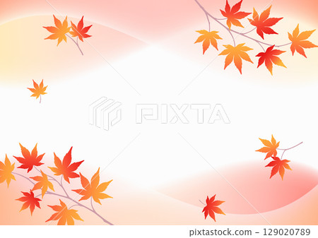 Beautiful Japanese autumn background with red maple leaves and gradation 129020789