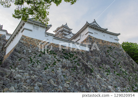 世界遺產姬路城美麗的城牆和傳統的日本建築 129020954