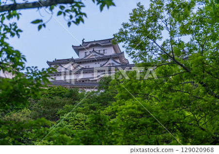 The beautiful castle walls and traditional Japanese architecture of Himeji Castle, a World Heritage Site 129020968