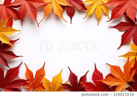 Colorful maple leaves on white background forming a frame. 129021019