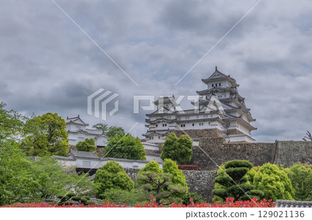 The beautiful castle walls and traditional Japanese architecture of Himeji Castle, a World Heritage Site 129021136