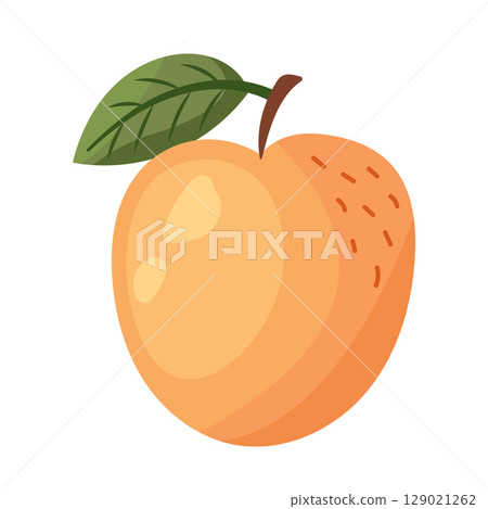 An illustration of a fresh peach along with a leaf, showcasing its vibrant colors and appeal 129021262
