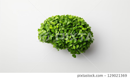 Creative Green Brain Concept Made from Fresh Leaves Representing Environmental Consciousness and Eco Thinking 129021369