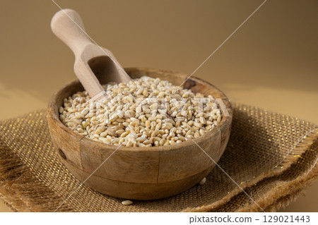 Pearl barley in neutral beige background. Whole spelt grain species. High protein fiber-rich vegan plant based food ingredient. Gluten free superfood healthy nutritional dietary alternative 129021443