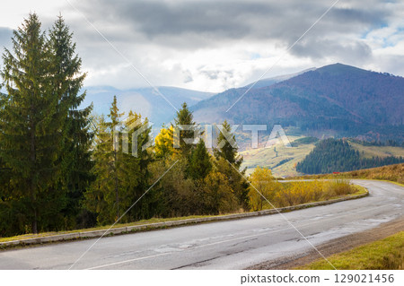 road through mountain landscape in autumn. countryside scenery in morning light. spruce trees along asphalt paved pass in rustic area of volovets district in transcarpathia. travel ukraine road through mountain landscape in autumn. countryside scenery in morning light. spruce trees along asphalt paved pass in rustic area of volovets district in transcarpathia. travel ukraine 129021456