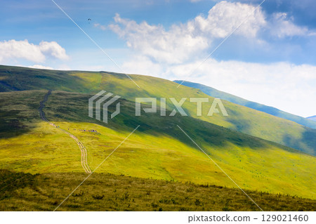 path for mountain tourism in summer. alpine landscape of ukraine. beautiful scenery of borzhava ridge with green hills under blue sky with clouds 129021460