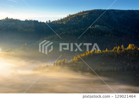 morning fog in mountain landscape. autumn in transylvania. beautiful scenery with trees on the hill among glowing mist. scenic nature background under light blue sky morning fog in mountain landscape. autumn in transylvania. beautiful scenery with trees on the hill among glowing mist. scenic nature background under light blue sky 129021464