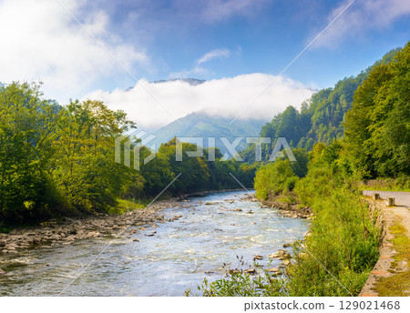 river runs through forest in mountain landscape. travel ukraine in summer. beautiful view with cloud on a hill under blue sky. scenery of tisza river valley river runs through forest in mountain landscape. travel ukraine in summer. beautiful view with cloud on a hill under blue sky. scenery of tisza river valley 129021468