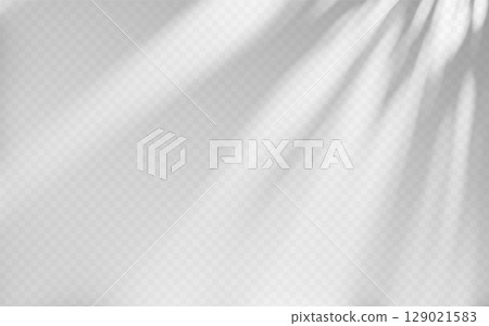 Abstract shadow overlay from tree branch on a transparent background. 129021583