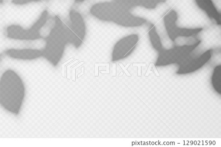 Abstract shadow overlay from foliage tree branch on a transparent background. Abstract shadow overlay from foliage tree branch on a transparent background. 129021590