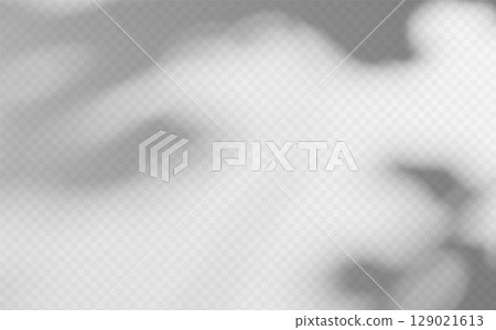 Abstract shadow overlay from tree branch on a transparent background. 129021613