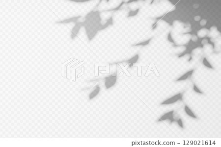 Abstract shadow overlay from foliage tree branch on a transparent background. 129021614