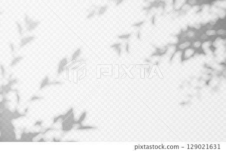 Abstract shadow overlay from foliage tree branch on a transparent background. Abstract shadow overlay from foliage tree branch on a transparent background. 129021631