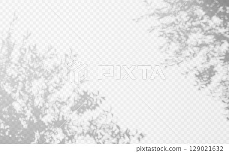 Abstract shadow overlay from tree branch on a transparent background. Abstract shadow overlay from tree branch on a transparent background. 129021632