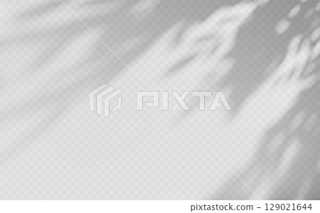 Abstract shadow overlay from tree branch on a transparent background. Abstract shadow overlay from tree branch on a transparent background. 129021644