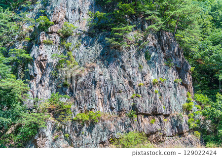 Yaihoi Rock, a steep cliff along the Yukidani River in Iwate Prefecture 129022424