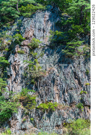 岩手縣雪谷川沿岸的陡峭懸崖—Yaihoi 岩 岩手縣雪谷川沿岸的陡峭懸崖—Yaihoi 岩 129022426
