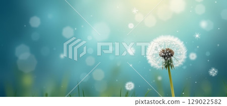 Dandelion with flying seeds on blurred blue background with bokeh and sunlight. Dreamy nature scene with soft focus and copy space 129022582