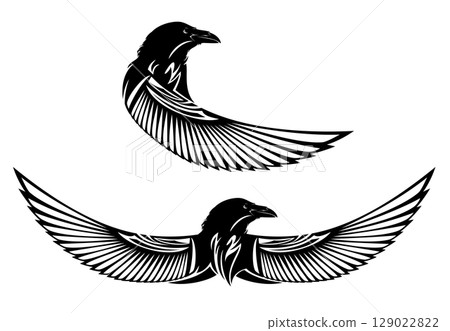 raven bird with spread wings black and white vector design raven bird with spread wings black and white vector design 129022822